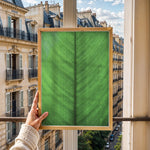 Ladda upp bild till gallerivisning, Plante plakat | Elegant print med livlige motiver | Plakat med grønne planter, botanisk kunst og naturplanter, ideel til at tilføje et organisk og livligt præg til dit hjem.
