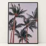 Ladda upp bild till gallerivisning, Plakat med palmer og himmel | Sommer og Strand Plakater | Denne plakat viser flere høje palmer med grønne fronds mod en pastel farvet himmel. Perfekt til dem, der elsker tropiske omgivelser.
