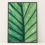 Ladda upp bild till gallerivisning, Plante print | Frodig plakat til stuen | Plakat med grønne planter, botanisk kunst og naturplanter, ideel til at tilføje et organisk og livligt præg til dit hjem.
