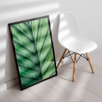 Ladda upp bild till gallerivisning, Plante print | Frodig plakat til stuen | Plakat med grønne planter, botanisk kunst og naturplanter, ideel til at tilføje et organisk og livligt præg til dit hjem.
