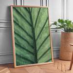 Ladda upp bild till gallerivisning, Plante print | Frodig plakat til stuen | Plakat med grønne planter, botanisk kunst og naturplanter, ideel til at tilføje et organisk og livligt præg til dit hjem.
