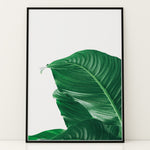 Ladda upp bild till gallerivisning, Plante plakat | Skøn print med planter og blomster | Plakat med grønne planter, botanisk kunst og naturplanter, ideel til at tilføje et organisk og livligt præg til dit hjem.
