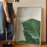 Ladda upp bild till gallerivisning, Plante plakat | Skøn print med planter og blomster | Plakat med grønne planter, botanisk kunst og naturplanter, ideel til at tilføje et organisk og livligt præg til dit hjem.
