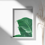 Ladda upp bild till gallerivisning, Plante plakat | Skøn print med planter og blomster | Plakat med grønne planter, botanisk kunst og naturplanter, ideel til at tilføje et organisk og livligt præg til dit hjem.
