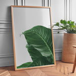 Ladda upp bild till gallerivisning, Plante plakat | Skøn print med planter og blomster | Plakat med grønne planter, botanisk kunst og naturplanter, ideel til at tilføje et organisk og livligt præg til dit hjem.
