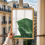 Ladda upp bild till gallerivisning, Plante plakat | Skøn print med planter og blomster | Plakat med grønne planter, botanisk kunst og naturplanter, ideel til at tilføje et organisk og livligt præg til dit hjem.
