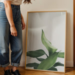 Ladda upp bild till gallerivisning, Plante print | Stilfuld plakat der lyser rummet op | Plakat med grønne planter, botanisk kunst og naturplanter, ideel til at tilføje et organisk og livligt præg til dit hjem.
