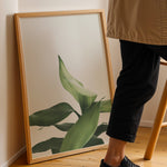 Ladda upp bild till gallerivisning, Plante print | Stilfuld plakat der lyser rummet op | Plakat med grønne planter, botanisk kunst og naturplanter, ideel til at tilføje et organisk og livligt præg til dit hjem.
