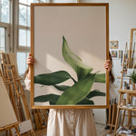 Ladda upp bild till gallerivisning, Plante print | Stilfuld plakat der lyser rummet op | Plakat med grønne planter, botanisk kunst og naturplanter, ideel til at tilføje et organisk og livligt præg til dit hjem.
