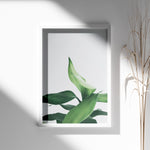 Ladda upp bild till gallerivisning, Plante print | Stilfuld plakat der lyser rummet op | Plakat med grønne planter, botanisk kunst og naturplanter, ideel til at tilføje et organisk og livligt præg til dit hjem.
