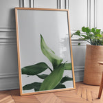 Ladda upp bild till gallerivisning, Plante print | Stilfuld plakat der lyser rummet op | Plakat med grønne planter, botanisk kunst og naturplanter, ideel til at tilføje et organisk og livligt præg til dit hjem.
