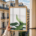 Ladda upp bild till gallerivisning, Plante print | Stilfuld plakat der lyser rummet op | Plakat med grønne planter, botanisk kunst og naturplanter, ideel til at tilføje et organisk og livligt præg til dit hjem.
