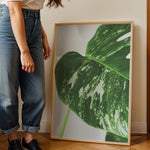 Ladda upp bild till gallerivisning, Plante plakat | Detaljeret print til moderne indretning | Plakat med grønne planter, botanisk kunst og naturplanter, ideel til at tilføje et organisk og livligt præg til dit hjem.
