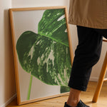 Ladda upp bild till gallerivisning, Plante plakat | Detaljeret print til moderne indretning | Plakat med grønne planter, botanisk kunst og naturplanter, ideel til at tilføje et organisk og livligt præg til dit hjem.
