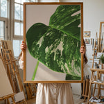Ladda upp bild till gallerivisning, Plante plakat | Detaljeret print til moderne indretning | Plakat med grønne planter, botanisk kunst og naturplanter, ideel til at tilføje et organisk og livligt præg til dit hjem.
