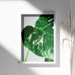 Ladda upp bild till gallerivisning, Plante plakat | Detaljeret print til moderne indretning | Plakat med grønne planter, botanisk kunst og naturplanter, ideel til at tilføje et organisk og livligt præg til dit hjem.

