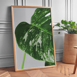 Ladda upp bild till gallerivisning, Plante plakat | Detaljeret print til moderne indretning | Plakat med grønne planter, botanisk kunst og naturplanter, ideel til at tilføje et organisk og livligt præg til dit hjem.
