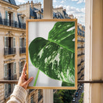 Ladda upp bild till gallerivisning, Plante plakat | Detaljeret print til moderne indretning | Plakat med grønne planter, botanisk kunst og naturplanter, ideel til at tilføje et organisk og livligt præg til dit hjem.

