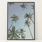 Ladda upp bild till gallerivisning, Plakat med palmer | Sommer og Strand Plakater | Denne plakat viser høje palmer set nedefra mod en gradient af lyseblå og mørkere himmel. Perfekt til dem, der elsker tropiske omgivelser.
