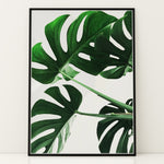 Ladda upp bild till gallerivisning, Plante plakat | Smukt print med harmoniske farver | Plakat med grønne planter, botanisk kunst og naturplanter, ideel til at tilføje et organisk og livligt præg til dit hjem.
