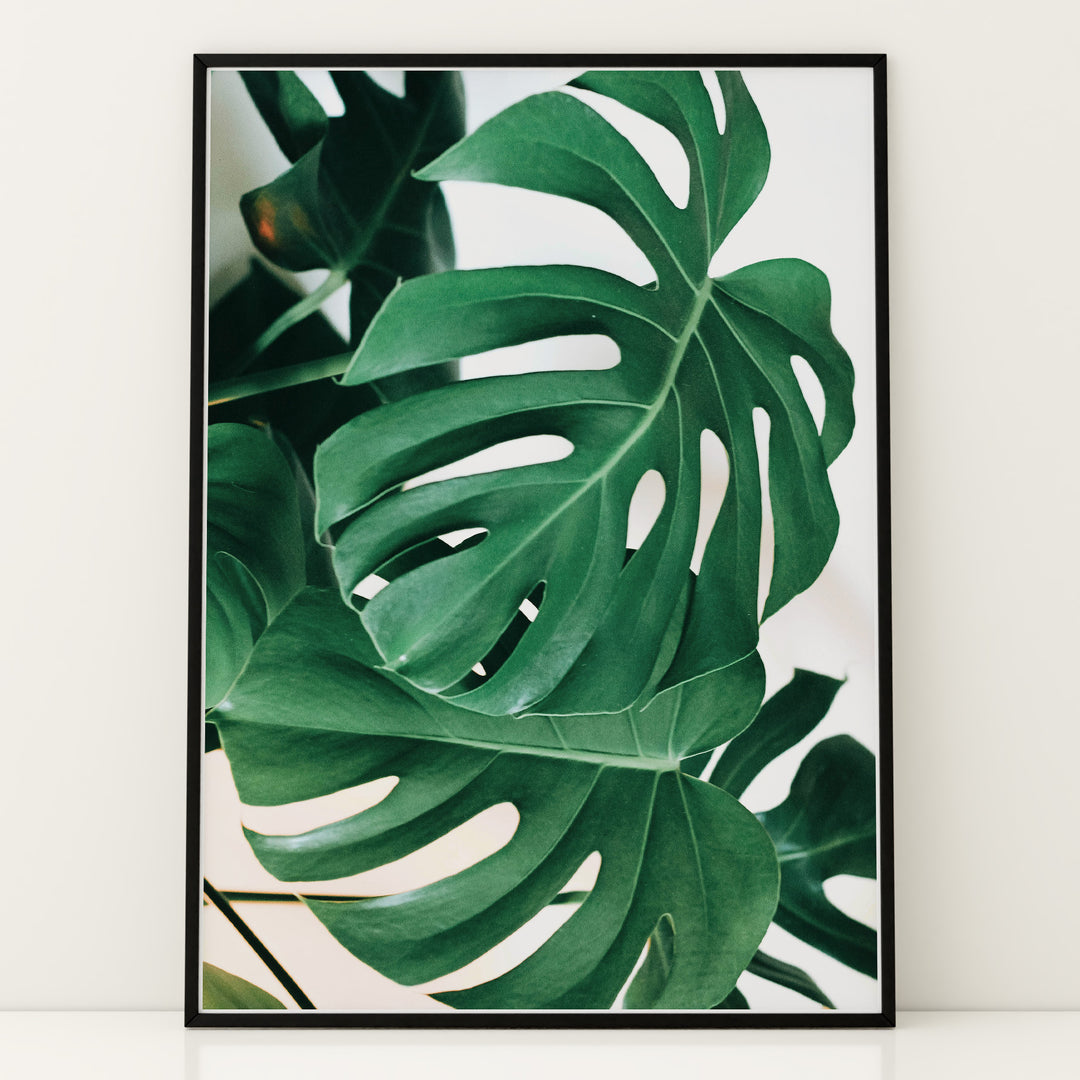Plante print | Kunstnerisk plakat til ethvert hjem | Plakat med grønne planter, botanisk kunst og naturplanter, ideel til at tilføje et organisk og livligt præg til dit hjem.