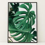 Ladda upp bild till gallerivisning, Plante print | Kunstnerisk plakat til ethvert hjem | Plakat med grønne planter, botanisk kunst og naturplanter, ideel til at tilføje et organisk og livligt præg til dit hjem.
