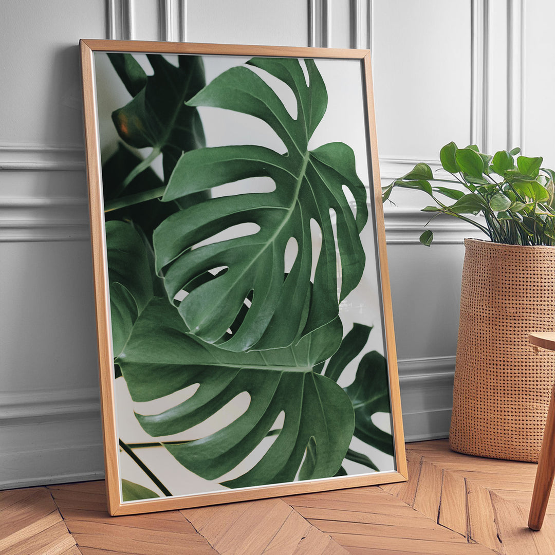 Plante print | Kunstnerisk plakat til ethvert hjem | Plakat med grønne planter, botanisk kunst og naturplanter, ideel til at tilføje et organisk og livligt præg til dit hjem.
