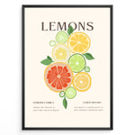 Ladda upp bild till gallerivisning, Illustration of colorful citrus fruits including lemons, limes, and grapefruits with green leaves, framed in black – modern lemon kitchen wall art plakat.
