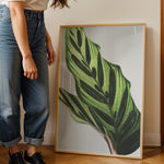 Ladda upp bild till gallerivisning, Plante plakat | Frodigt print med naturlige elementer | Plakat med grønne planter, botanisk kunst og naturplanter, ideel til at tilføje et organisk og livligt præg til dit hjem.
