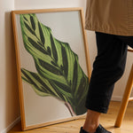 Ladda upp bild till gallerivisning, Plante plakat | Frodigt print med naturlige elementer | Plakat med grønne planter, botanisk kunst og naturplanter, ideel til at tilføje et organisk og livligt præg til dit hjem.
