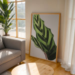 Ladda upp bild till gallerivisning, Plante plakat | Frodigt print med naturlige elementer | Plakat med grønne planter, botanisk kunst og naturplanter, ideel til at tilføje et organisk og livligt præg til dit hjem.
