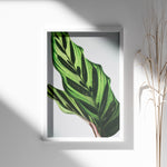 Ladda upp bild till gallerivisning, Plante plakat | Frodigt print med naturlige elementer | Plakat med grønne planter, botanisk kunst og naturplanter, ideel til at tilføje et organisk og livligt præg til dit hjem.
