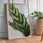 Ladda upp bild till gallerivisning, Plante plakat | Frodigt print med naturlige elementer | Plakat med grønne planter, botanisk kunst og naturplanter, ideel til at tilføje et organisk og livligt præg til dit hjem.
