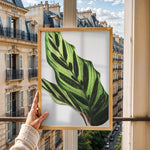 Ladda upp bild till gallerivisning, Plante plakat | Frodigt print med naturlige elementer | Plakat med grønne planter, botanisk kunst og naturplanter, ideel til at tilføje et organisk og livligt præg til dit hjem.
