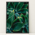 Ladda upp bild till gallerivisning, Plante print | Elegant plakat med delikate detaljer | Plakat med grønne planter, botanisk kunst og naturplanter, ideel til at tilføje et organisk og livligt præg til dit hjem.
