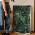 Ladda upp bild till gallerivisning, Plante print | Elegant plakat med delikate detaljer | Plakat med grønne planter, botanisk kunst og naturplanter, ideel til at tilføje et organisk og livligt præg til dit hjem.
