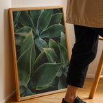 Ladda upp bild till gallerivisning, Plante print | Elegant plakat med delikate detaljer | Plakat med grønne planter, botanisk kunst og naturplanter, ideel til at tilføje et organisk og livligt præg til dit hjem.
