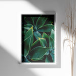Ladda upp bild till gallerivisning, Plante print | Elegant plakat med delikate detaljer | Plakat med grønne planter, botanisk kunst og naturplanter, ideel til at tilføje et organisk og livligt præg til dit hjem.
