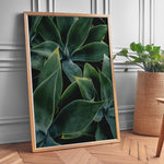 Ladda upp bild till gallerivisning, Plante print | Elegant plakat med delikate detaljer | Plakat med grønne planter, botanisk kunst og naturplanter, ideel til at tilføje et organisk og livligt præg til dit hjem.
