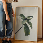 Ladda upp bild till gallerivisning, Plante plakat | Inspirerende print til dit hjem | Plakat med grønne planter, botanisk kunst og naturplanter, ideel til at tilføje et organisk og livligt præg til dit hjem.
