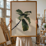 Ladda upp bild till gallerivisning, Plante plakat | Inspirerende print til dit hjem | Plakat med grønne planter, botanisk kunst og naturplanter, ideel til at tilføje et organisk og livligt præg til dit hjem.
