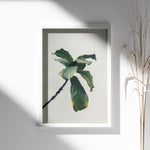 Ladda upp bild till gallerivisning, Plante plakat | Inspirerende print til dit hjem | Plakat med grønne planter, botanisk kunst og naturplanter, ideel til at tilføje et organisk og livligt præg til dit hjem.
