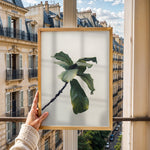 Ladda upp bild till gallerivisning, Plante plakat | Inspirerende print til dit hjem | Plakat med grønne planter, botanisk kunst og naturplanter, ideel til at tilføje et organisk og livligt præg til dit hjem.

