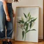 Ladda upp bild till gallerivisning, Plante print | Stilfuld plakat med grønne planter | Plakat med grønne planter, botanisk kunst og naturplanter, ideel til at tilføje et organisk og livligt præg til dit hjem.
