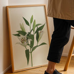 Ladda upp bild till gallerivisning, Plante print | Stilfuld plakat med grønne planter | Plakat med grønne planter, botanisk kunst og naturplanter, ideel til at tilføje et organisk og livligt præg til dit hjem.
