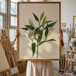 Ladda upp bild till gallerivisning, Plante print | Stilfuld plakat med grønne planter | Plakat med grønne planter, botanisk kunst og naturplanter, ideel til at tilføje et organisk og livligt præg til dit hjem.
