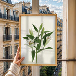 Ladda upp bild till gallerivisning, Plante print | Stilfuld plakat med grønne planter | Plakat med grønne planter, botanisk kunst og naturplanter, ideel til at tilføje et organisk og livligt præg til dit hjem.
