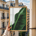 Ladda upp bild till gallerivisning, Plante plakat | Unik print der tilføjer karakter | Plakat med grønne planter, botanisk kunst og naturplanter, ideel til at tilføje et organisk og livligt præg til dit hjem.

