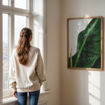 Ladda upp bild till gallerivisning, Plante plakat | Unik print der tilføjer karakter | Plakat med grønne planter, botanisk kunst og naturplanter, ideel til at tilføje et organisk og livligt præg til dit hjem.
