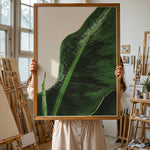 Ladda upp bild till gallerivisning, Plante plakat | Unik print der tilføjer karakter | Plakat med grønne planter, botanisk kunst og naturplanter, ideel til at tilføje et organisk og livligt præg til dit hjem.
